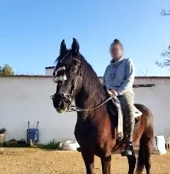 Amber, 31